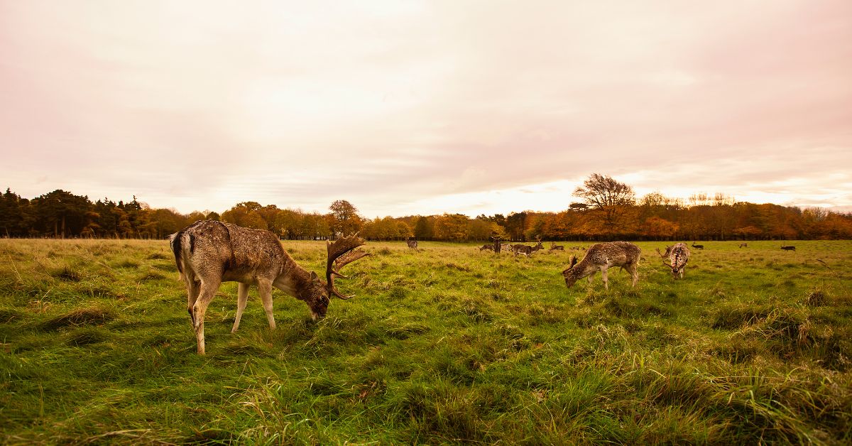 Best things to see and do with kids in Dublin