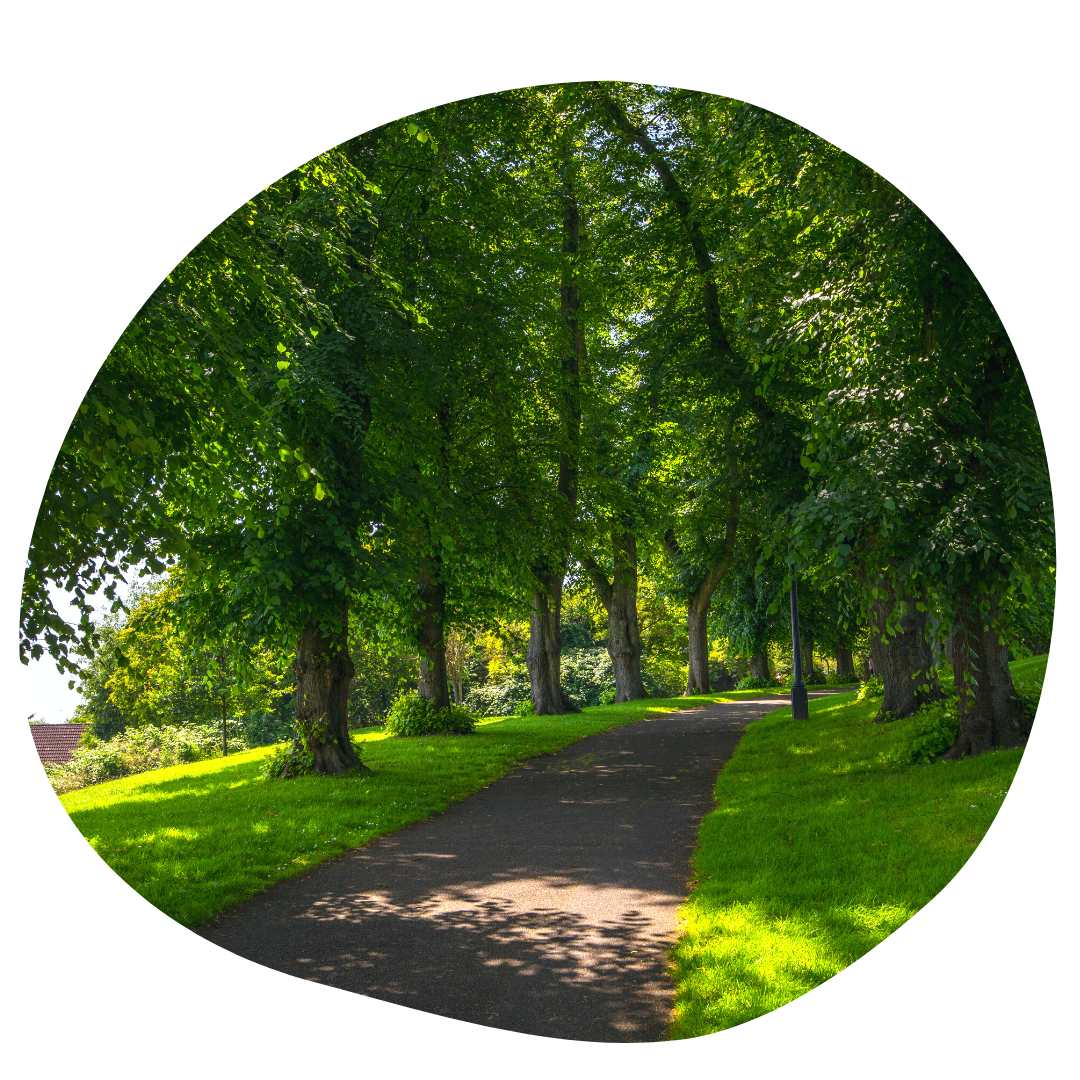 Brandon Hill Park and Playground Bristol
