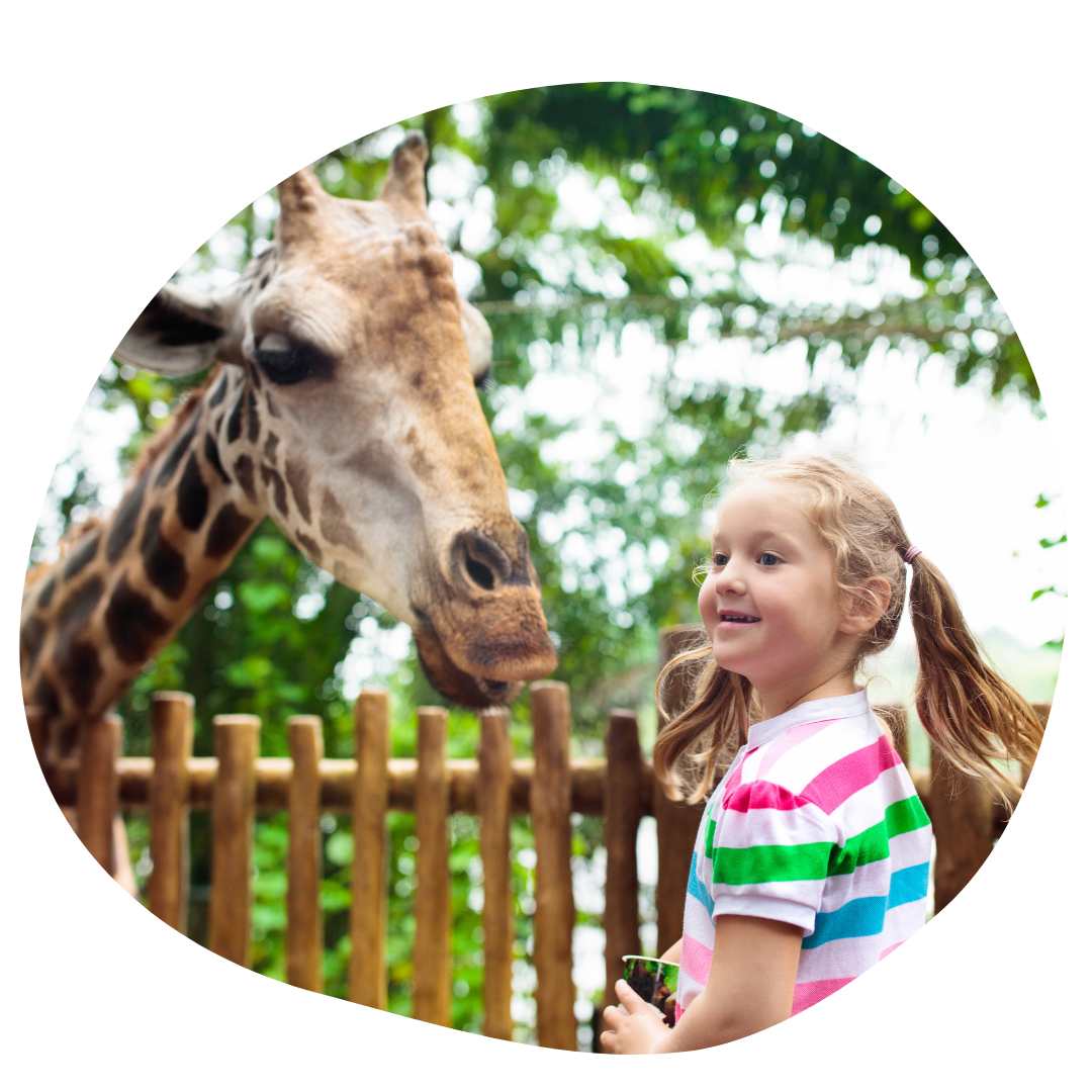 Bristol Wild Project WIth Kids