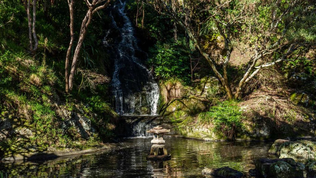 Botanical Gardens Wellington