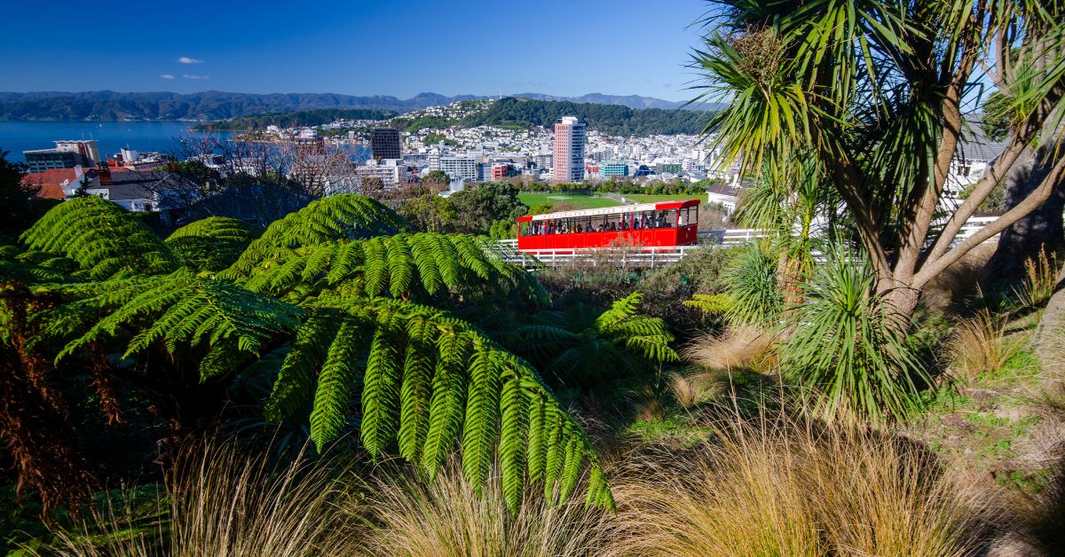 How to Get Around Wellington with Children