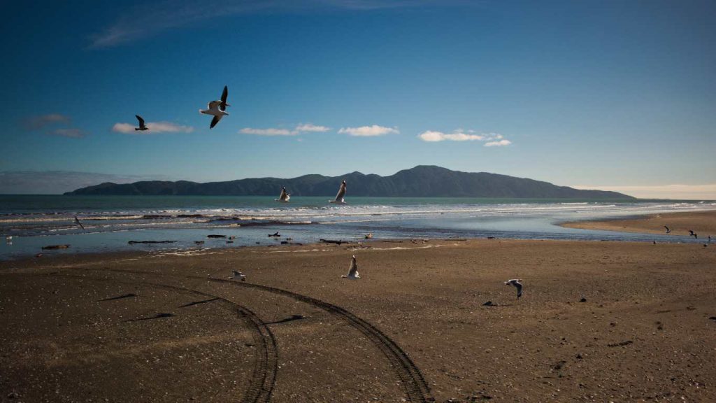 Kapiti Island New Zealand