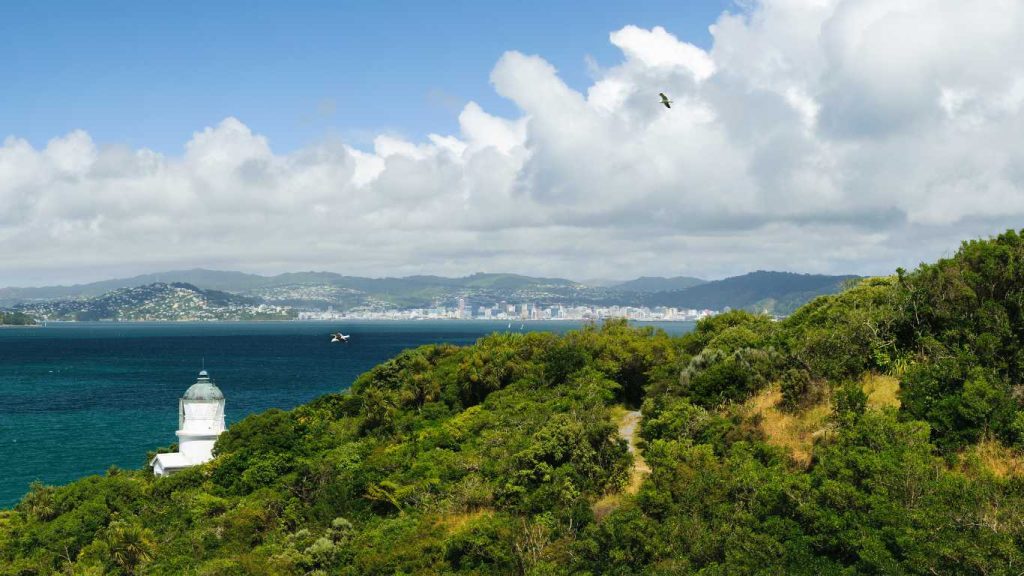 Matiu Somes Island 