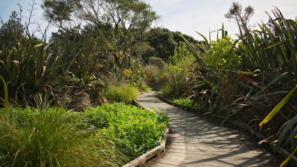 Ngā Manu Nature Reserve