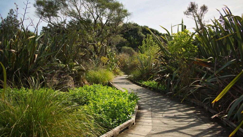 Ngā Manu Nature Reserve 