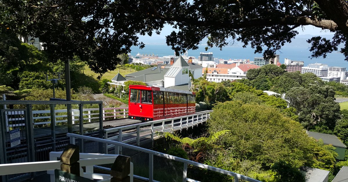 The Top Activities to do with Children in Wellington