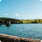 Chesterfield with Children