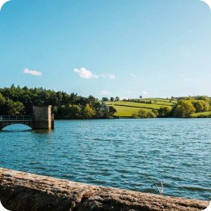 Chesterfield with Children