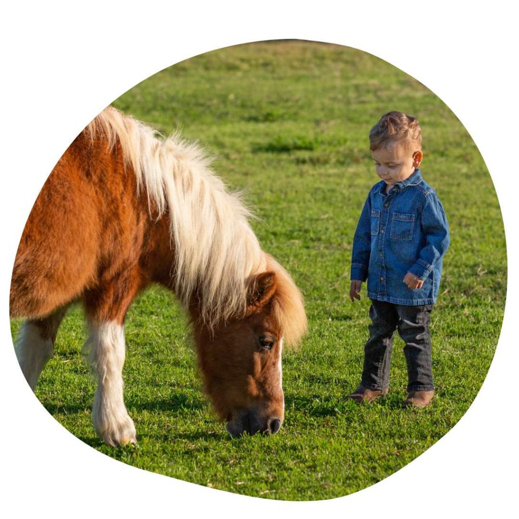 Boy with a pony in Cesis