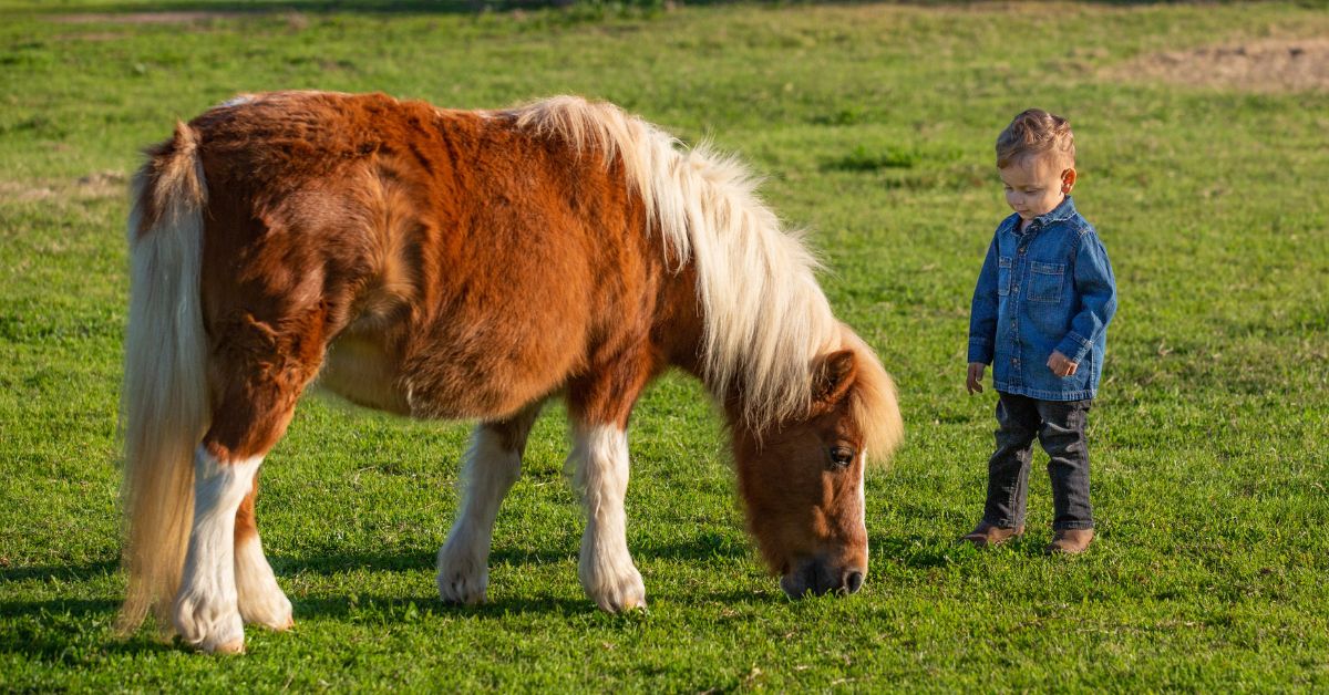 The Best Things to do in Cēsis with Young Children