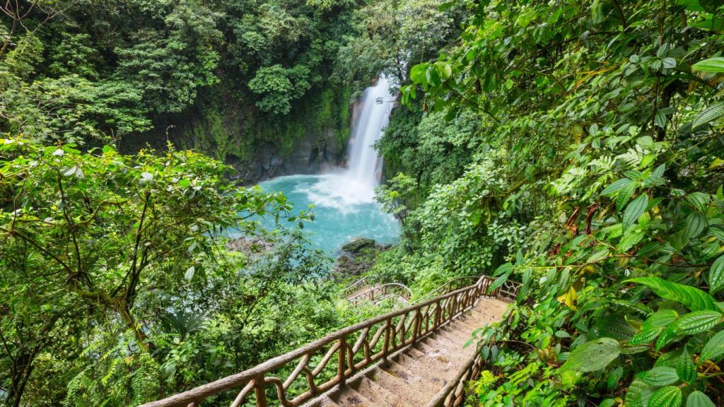 The jungles in Costa Rica - epic family adventure