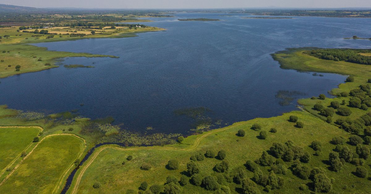 Recommended Areas in Boyle to Visit With Children